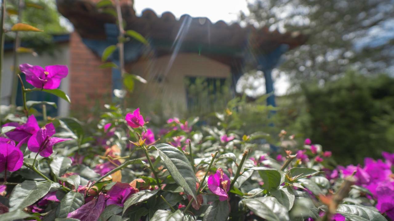 Termales El Otono Hotel La Enea Екстериор снимка A woman watering flowers
